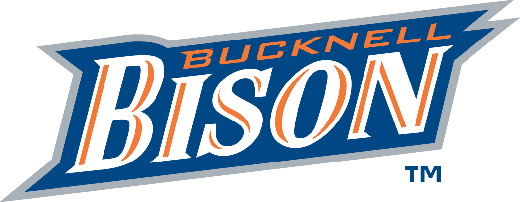 Bucknell Bison 2002-Pres Wordmark Logo t shirts iron on transfers